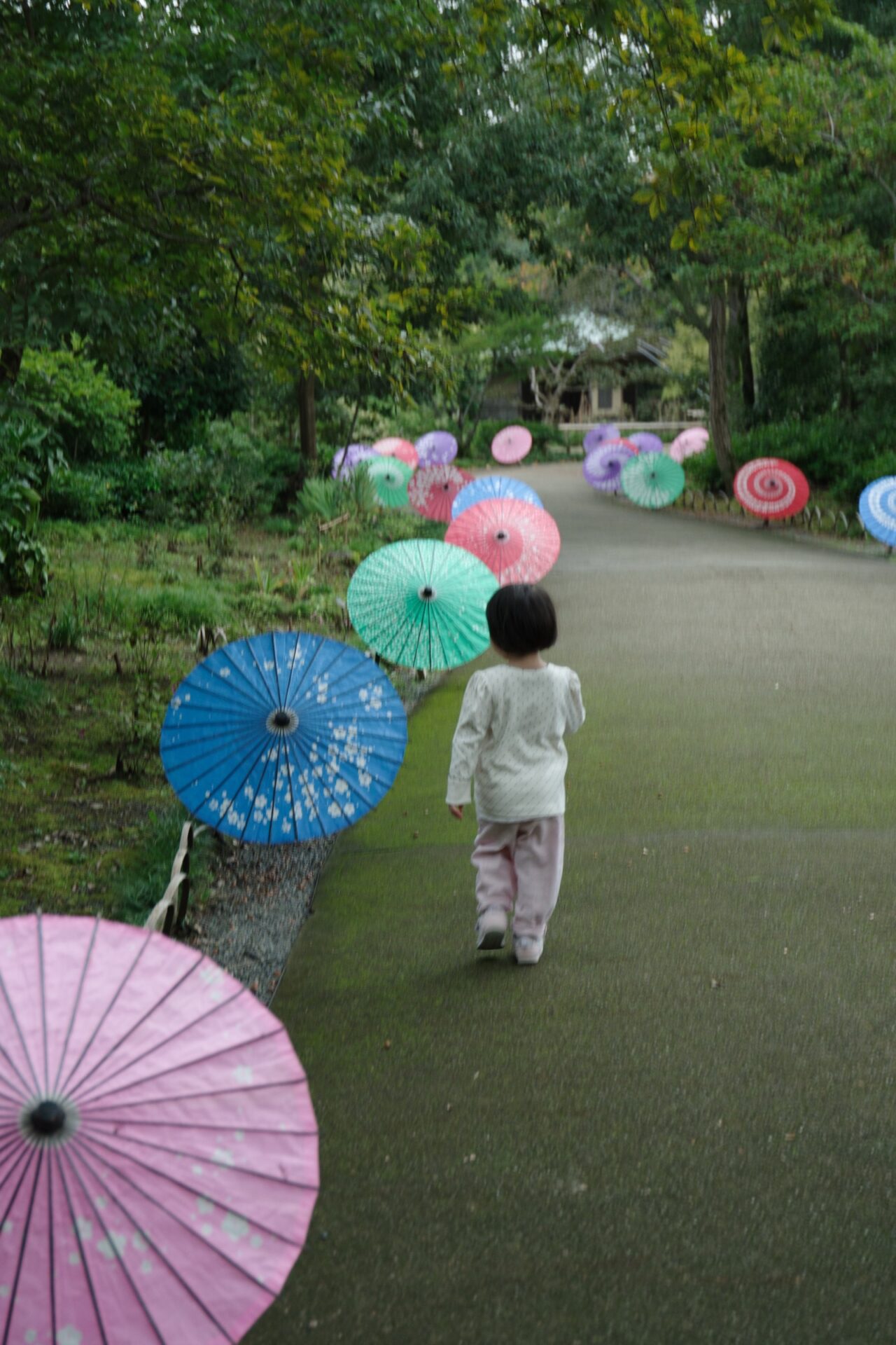 色とりどりの和傘が並ぶ道を歩く子どもの後ろ姿