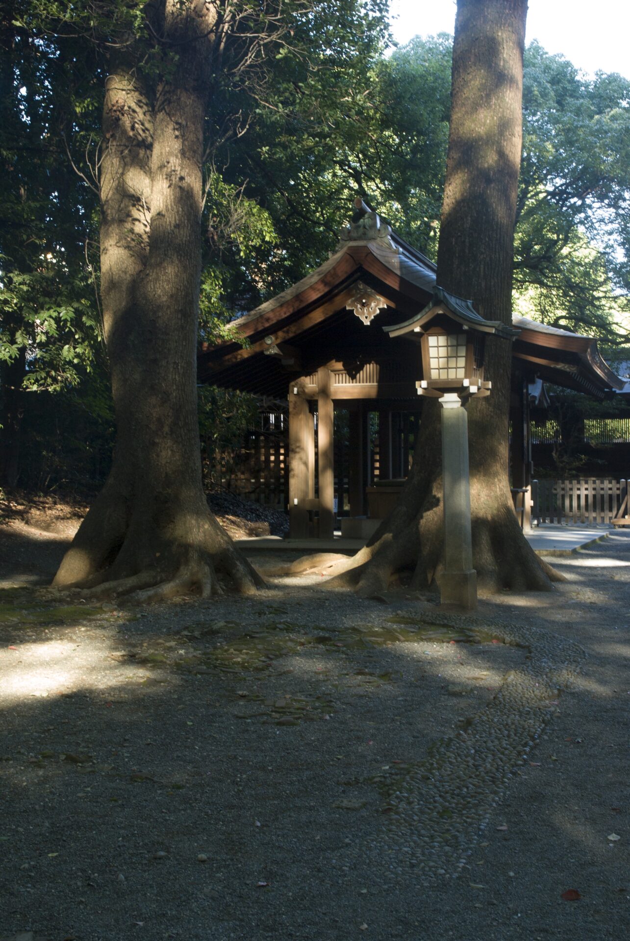 木漏れ日が屋根や柱に差す明治神宮のお手水