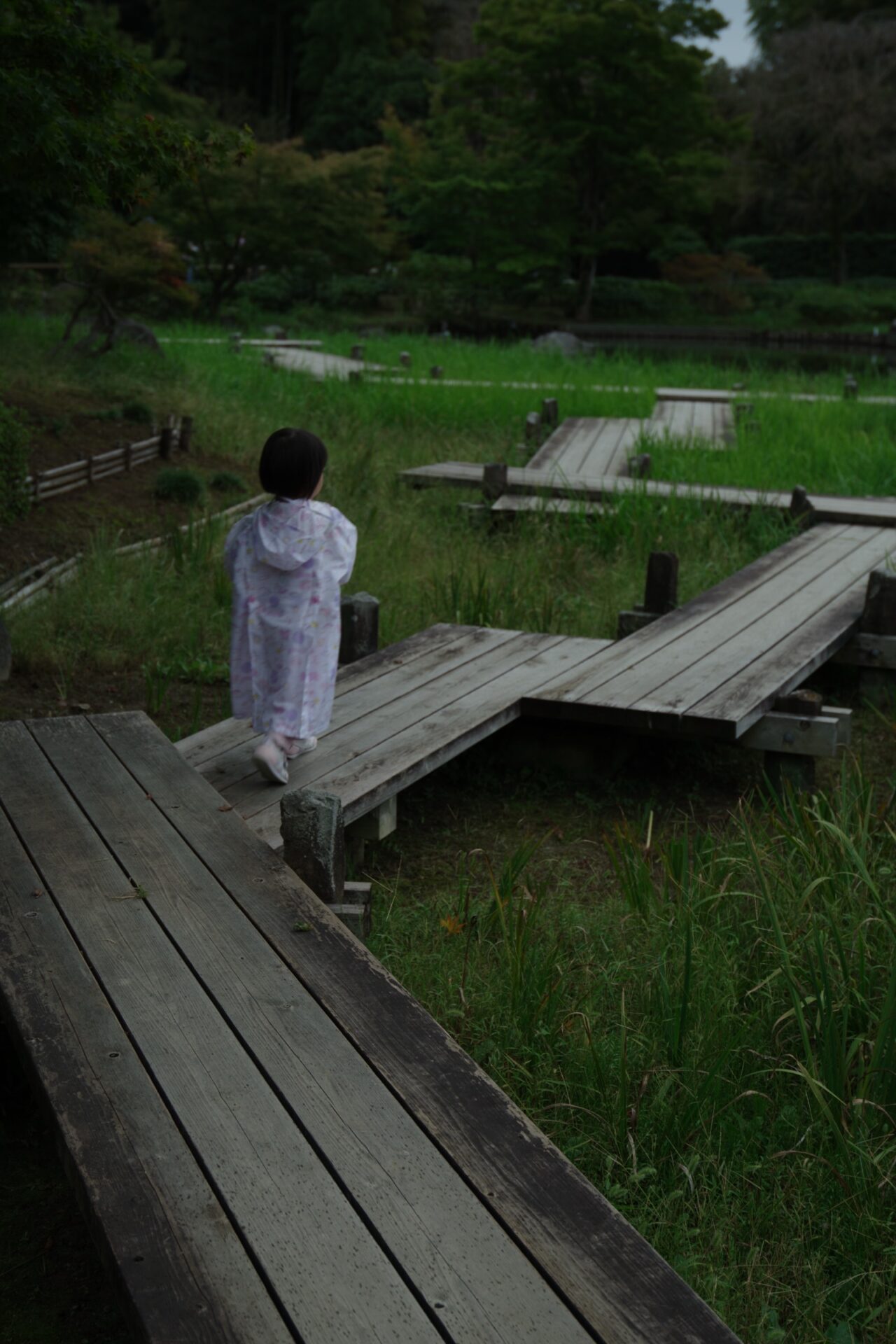 昭和記念公園の木道を歩く子どもの後ろ姿