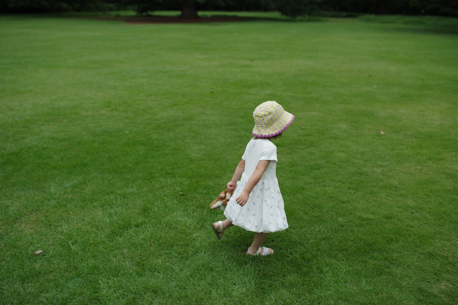 PENTAX K-1で撮影した芝生を歩く子どもの写真