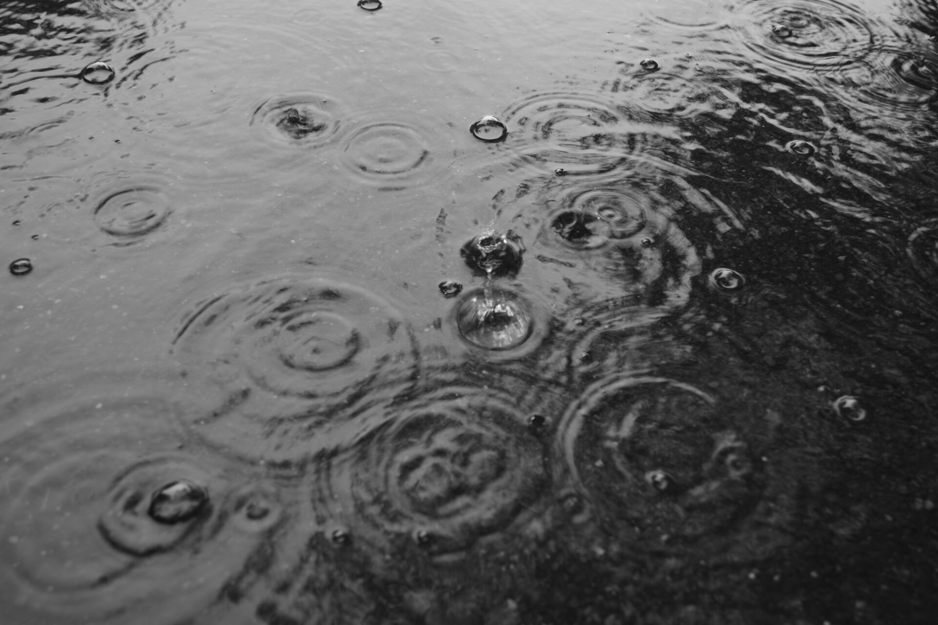 K-3 Mark III Monochromeで撮影した水面に重なる雨粒の波紋