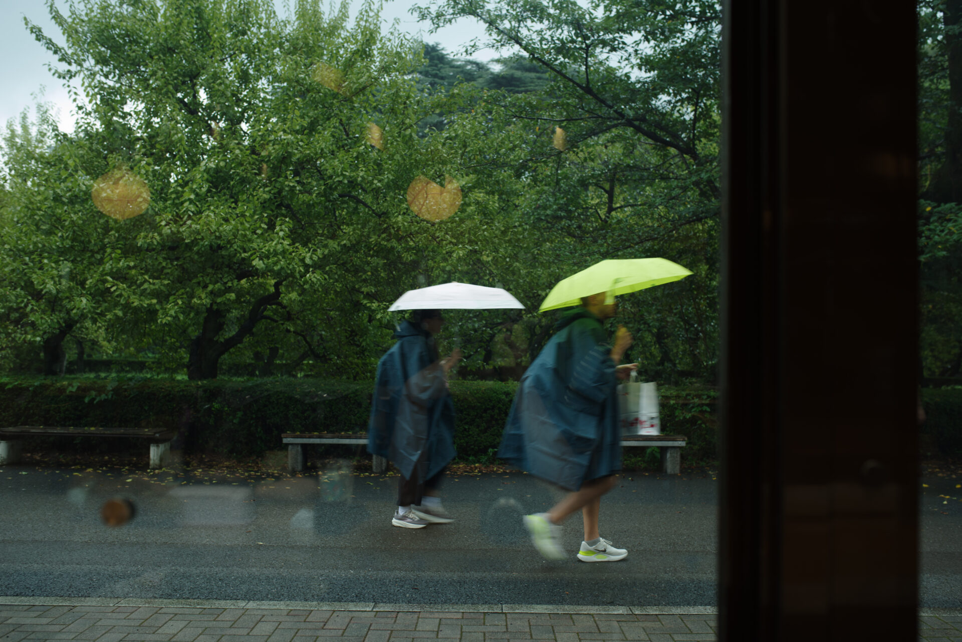 雨の日の新宿御苑をガラス越しに歩く二人と傘