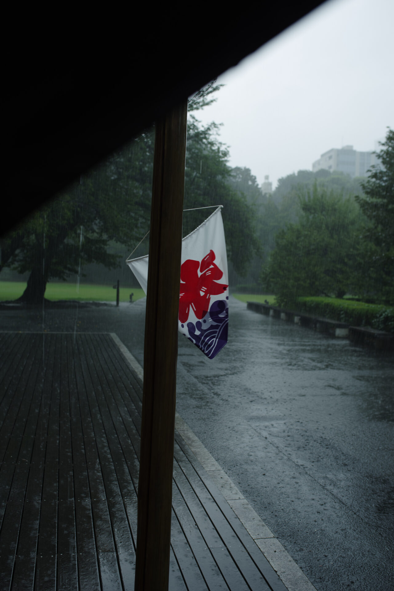 雨の新宿御苑でかき氷の旗の向こうに降る豪雨