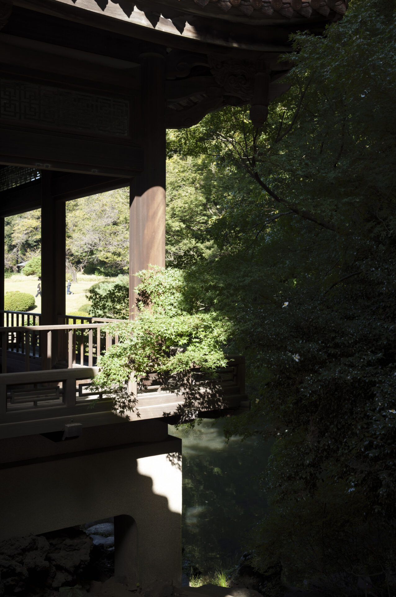 建物と木々の明暗