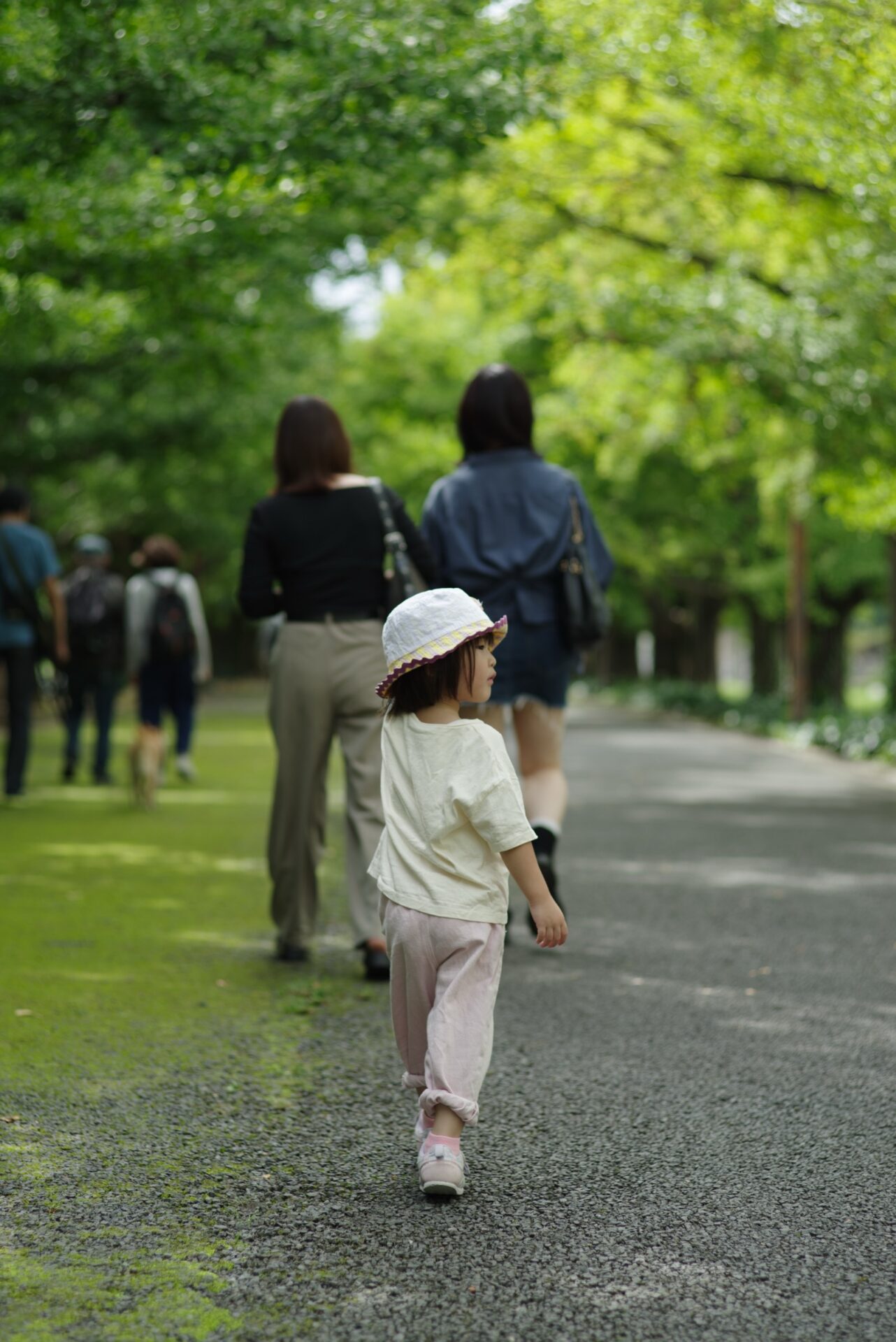 PENTAX K-1で撮影した木陰と明るい芝生の中を歩く子どもの写真